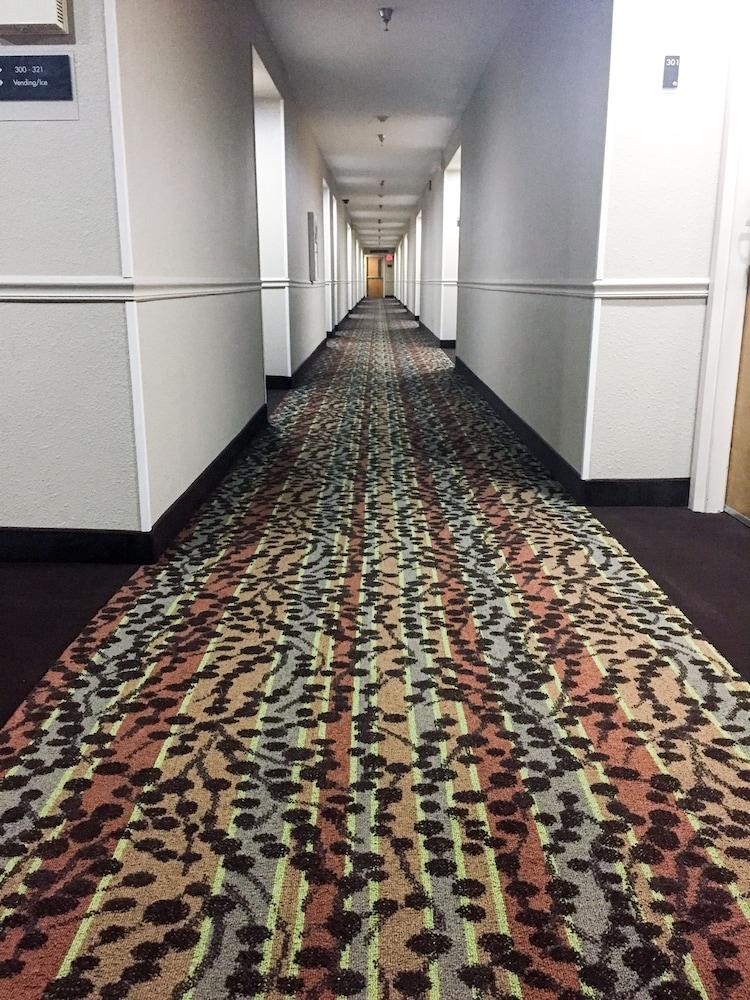 Sleep Inn Chattanooga Ngoại thất bức ảnh