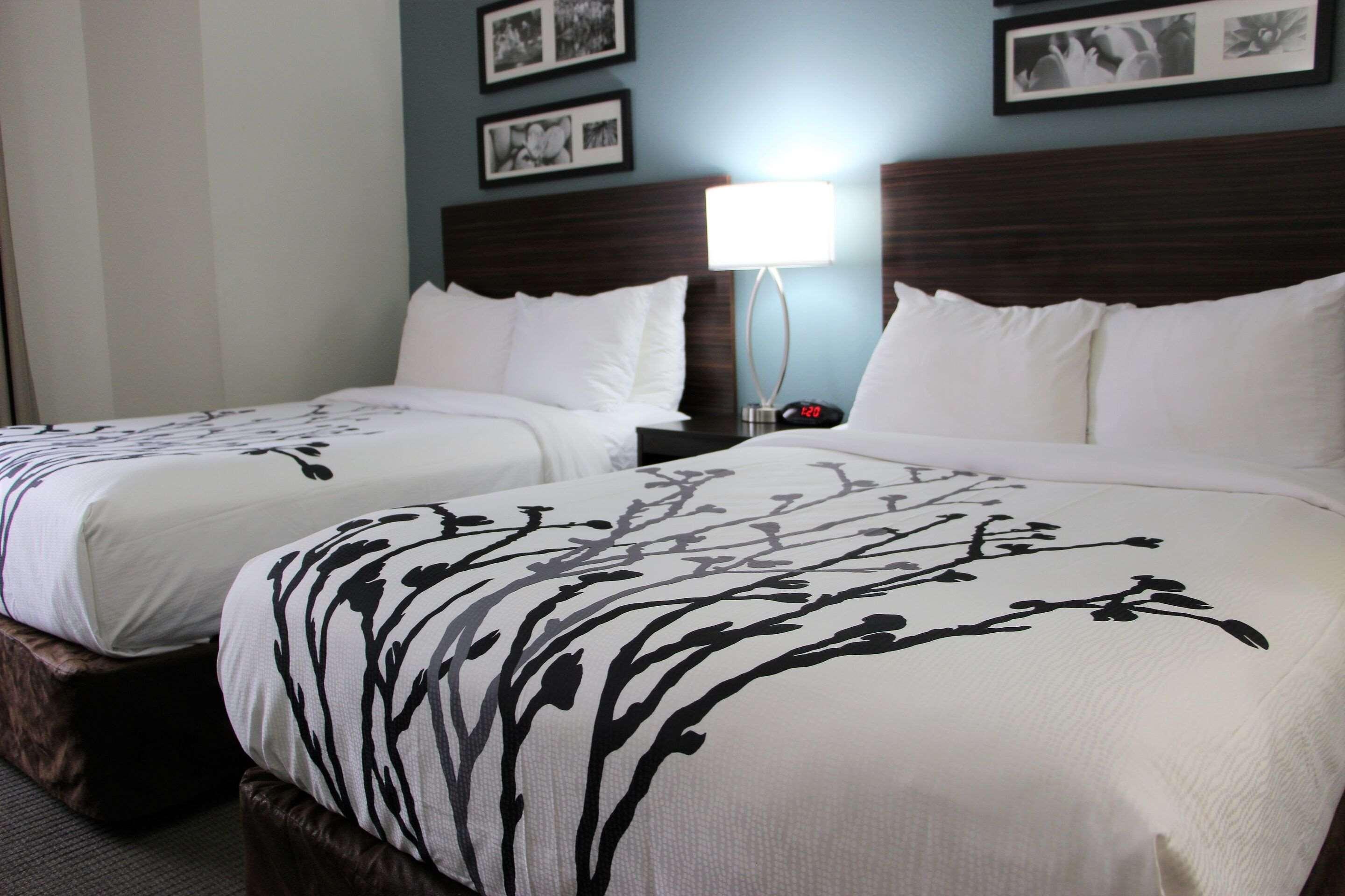 Sleep Inn Chattanooga Ngoại thất bức ảnh